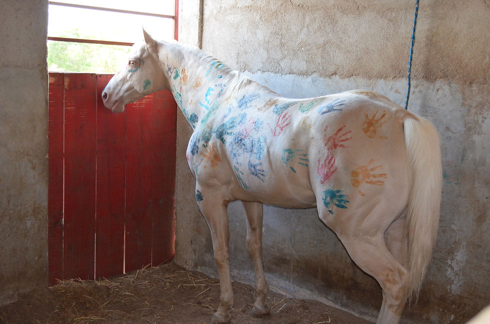 Pale Zan Parr pintado