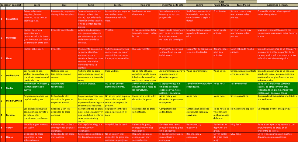 Tabla de Medición de la Condición Corporal en Equinos