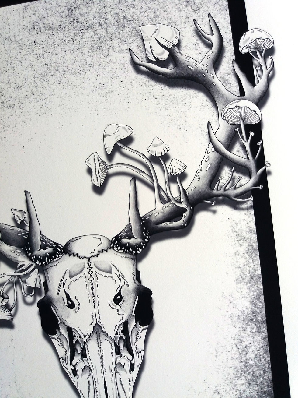 Thumbnail: Deer Skull Print -  Black and white A3 or A4