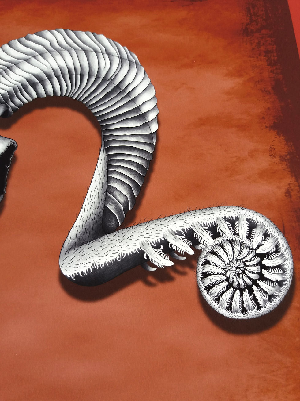 Thumbnail: A3 print Ram Skull -  Coloured