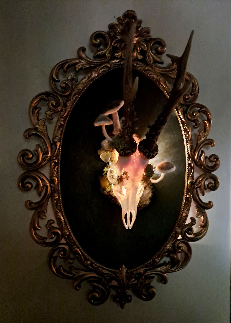 Thumbnail: LIGHT UP! Framed Roe Deer Skull  - Enchanted Forest