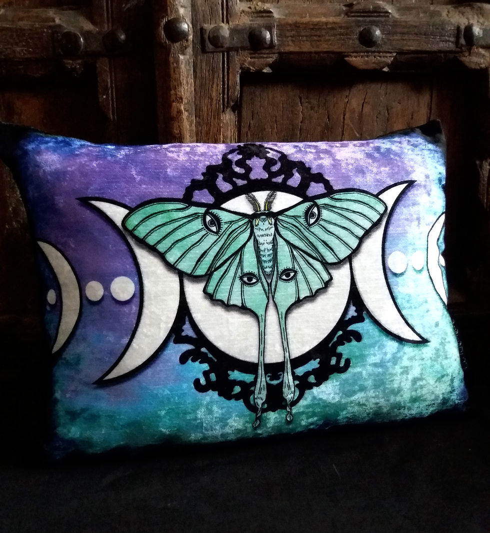 Thumbnail: Luna Moth Cushion