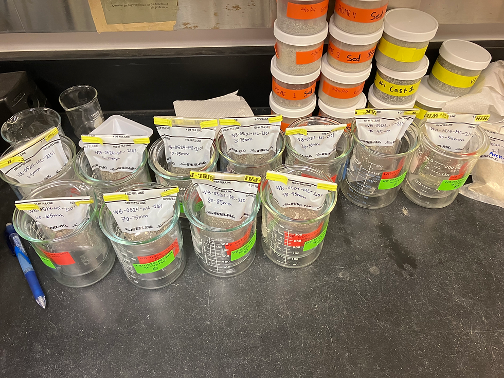 Figure 1. Labeled and bagged samples and their respective cleaned beakers for different types of sedimentology analysis.