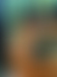 Beauty and Serenity, Exotico Beach Hotel 