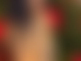 Tropical Christmas Reverie