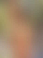 A Surreal Adventure in Sequoia National Park