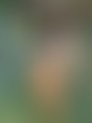 A Swim at Lake Tahoe