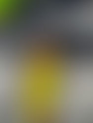 Tanah Lot Temple, Bali