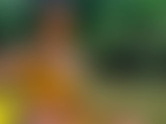 Kayaking Adventure Through the Jungle