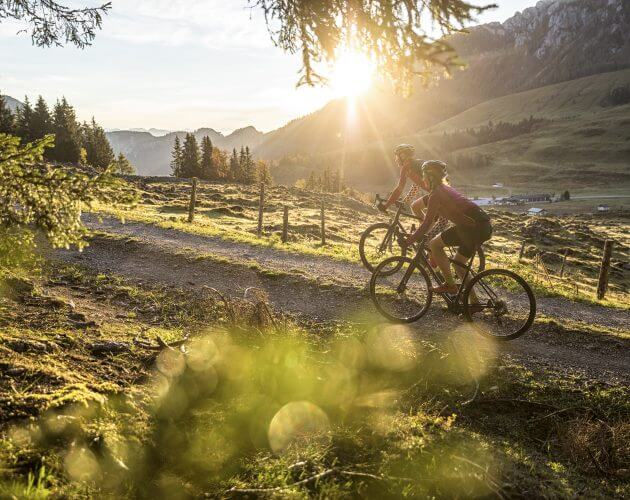 Gravelbike Postalm Salzburgerland