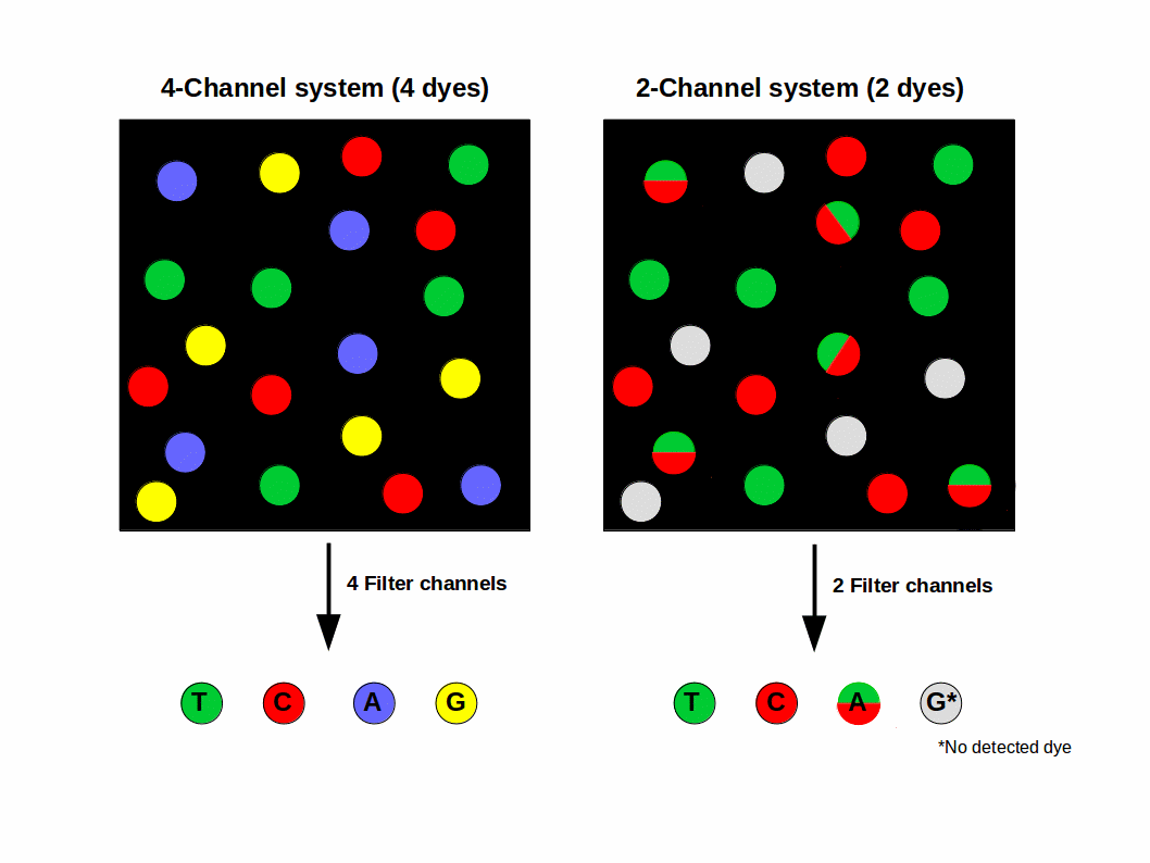 Be careful of the poly-G sequence from NextSeq run