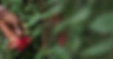 keep in touch_edited.jpg
