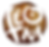 feom_drk25.png