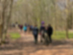 Our participants, volunteers and horses walking down the track