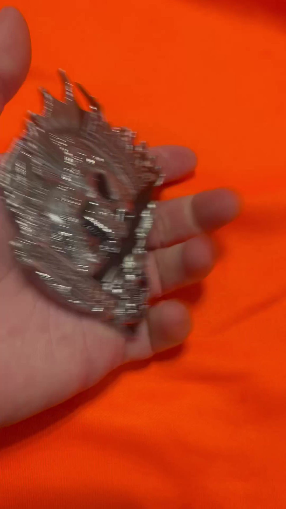 Thumbnail: Kenosha PD King Fish