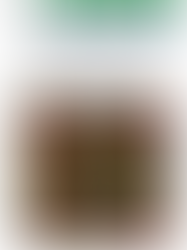 Managers entre deux chaises équipes sous pression : Où est la solution ?