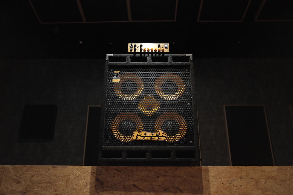 Markbass Standard 104HF