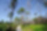 Gator Creek Reserve