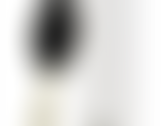 My New Secret to Gorgeous Hair: This Detangling Brush! ✨💆‍♀️