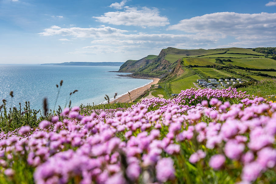 jurassic coast.jpg