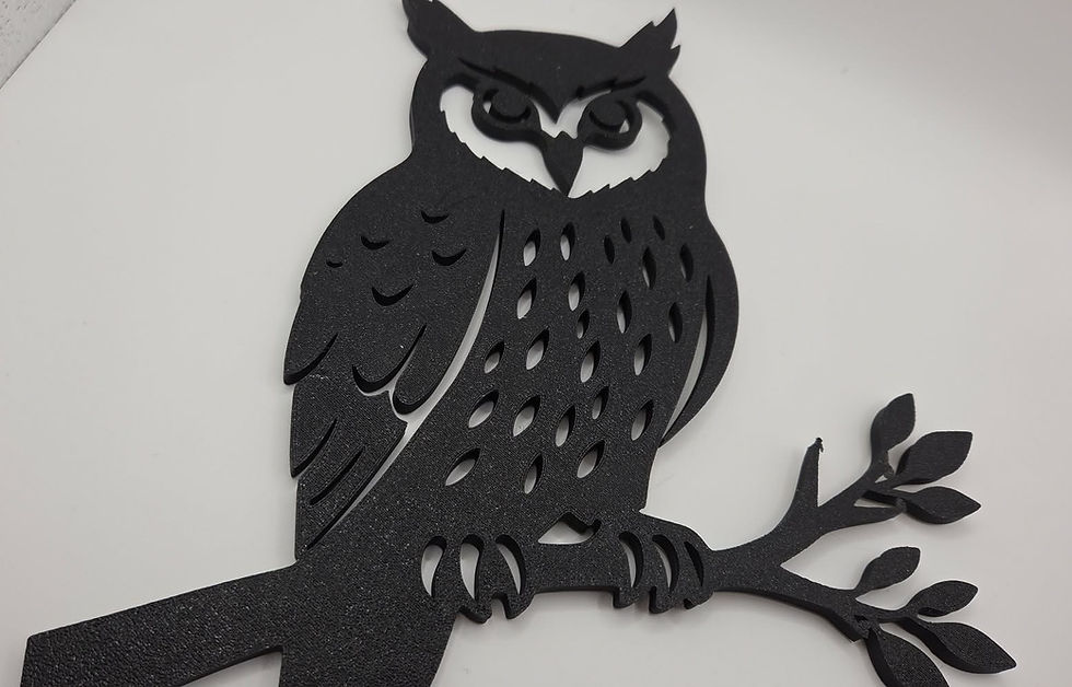 Thumbnail: OWL WALL ART