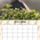 Thumbnail: 2026 CALENDAR