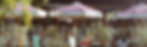 Blue-Tounge-Elwood-Bar-Kitchen-Feb2026-copy.jpg