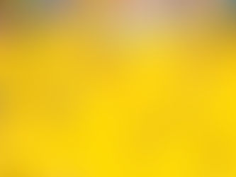 Carnaval em condomínio