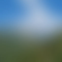 Service: "Top 10 Weekend Getaways Near Delhi With Instant Cab Booking"