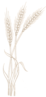 3 stalks 3a.png