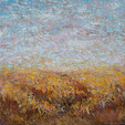 Miday Wild Flowers