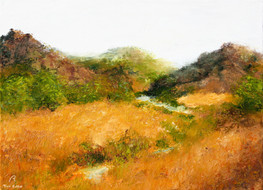 Mountains With Stream