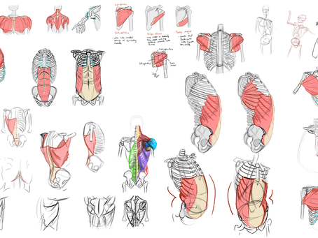 Anatomy Practice
