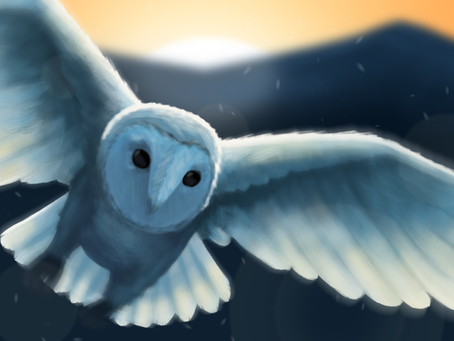 Barn Owl Painting