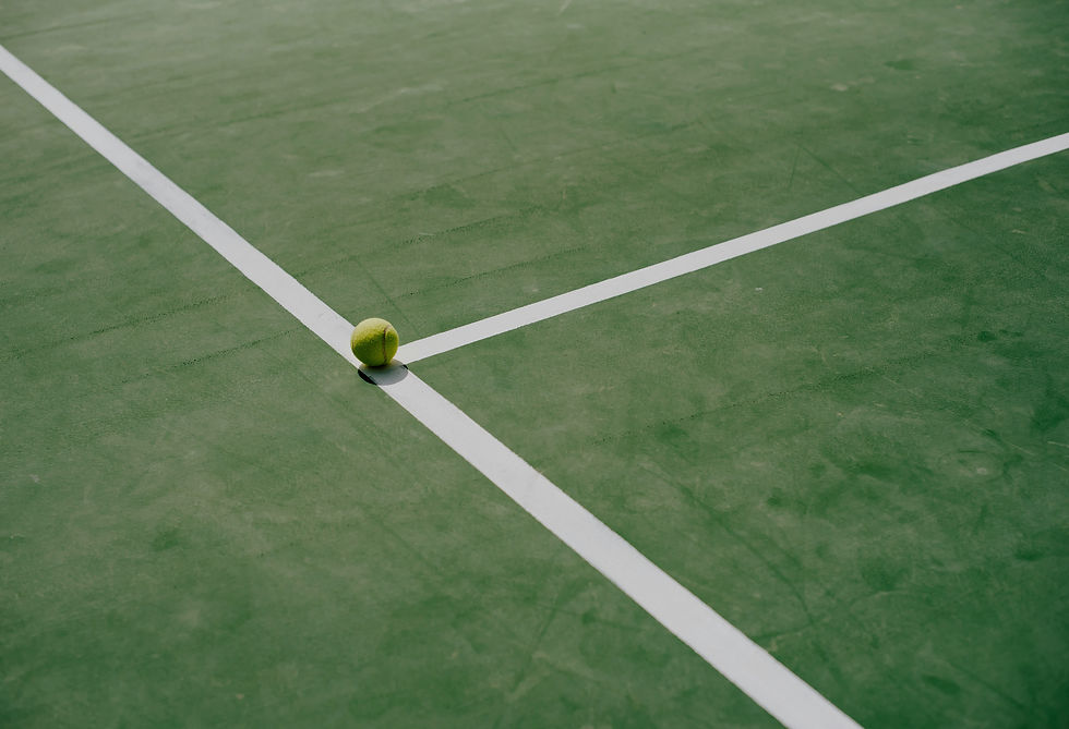 kateryna-hliznitsova-ZlUHi3U0YdA-unsplash_edited.jpg