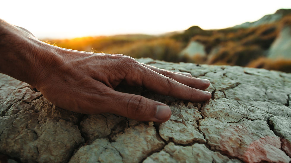 A hand rests upon cracked, dry ground that is in need of water and healing.