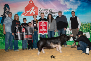 3rd Overall Breeding Gilt AkSarBen.heic