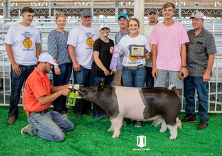 2019 Reserve Commercial Gilt Iowa State Fair FFA Show .jpeg