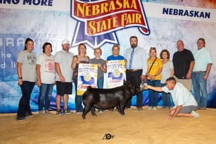 2021 Supreme Market Gilt Nebraska State Fair.jpeg