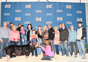 2021 Champion Spot Gilt ANLS.jpeg