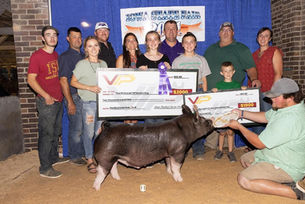 2021 Fourth Overall Purebred Hog 4H Iowa State Fair.jpeg