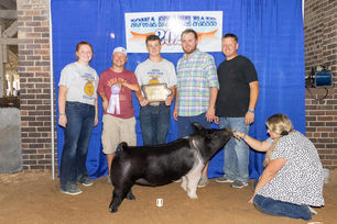 2021 Reserve Lightweight FFA Market Hog Iowa State Fair.jpeg