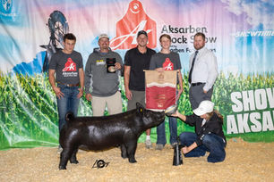2021 Supreme Breeding GIlt AkSarBen Stock Show.jpeg