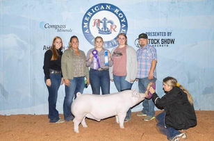 Grand Chester Barrow American Royal .jpeg
