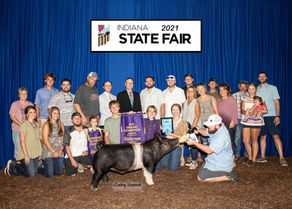 2021 Grand Barrow Indiana State Fair.jpeg