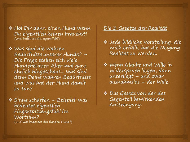 Mensch1 (2).jpg