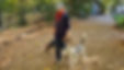 Hundetraining Hundeschule Celle Einzeltraining.jpg