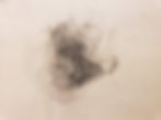 Snout, graphite