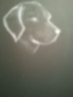 Chalk on Plaster