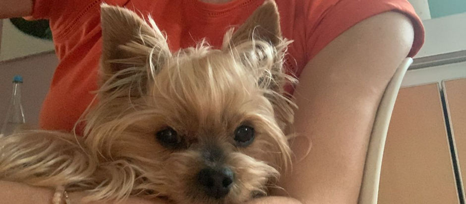 Erfahrungsbericht über Berry